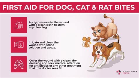 bitten animal bite center photos|First Aid .